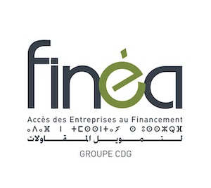 FINEA